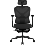 Formula V Line Ergolux 5 Plus 人體工學網椅(黑色)