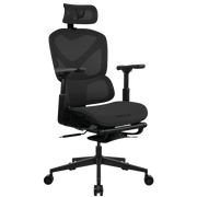 Formula V Line Ergolux 5 Plus 人體工學網椅(黑色)