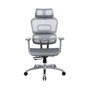 Zenox Ten-E Office Chair