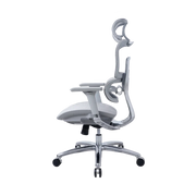 Zenox Ten-E Office Chair