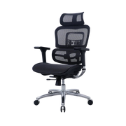 Zenox Ten-E Office Chair