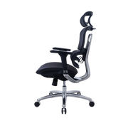 Zenox Ten-E Office Chair