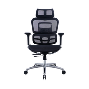 Zenox Ten-E Office Chair