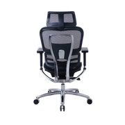 Zenox Ten-E Office Chair