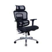 Zenox Ten-E Office Chair