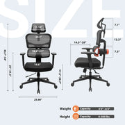 NEWTRAL NT001 人體工學辦工椅