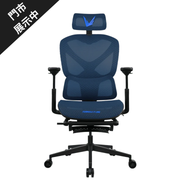 Formula V Line Ergolux 5 Plus 人體工學網椅(藍色香港版)