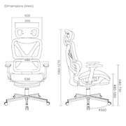 LUMI CH05-22 SpineX 人體工學辦公椅 (6月中到貨)