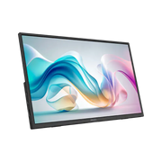 MSI PRO MP165 E6 15.6吋 1080P FHD 60Hz IPS 便攜式顯示器  (此產品不包送貨)