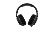 Turtle Beach Stealth Pro II ANC主動降噪 可換電 Hi-Res認證 三模無線遊戲耳機(PC-黑色)(代理有貨)