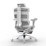 Ergomax Evolution2 Plus 人體工學辦公椅