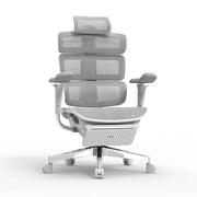 Ergomax Evolution2 Plus 人體工學辦公椅