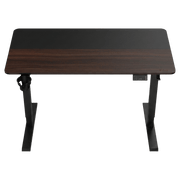 ThunderX3 EZLY RGONOMIC GAMING DESK (Loft Black)(9月到貨)