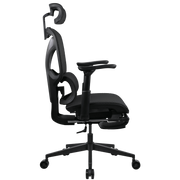 Formula V Line Ergolux 5 Plus 人體工學網椅(黑色)