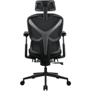 Formula V Line Ergolux 5 Plus 人體工學網椅(黑色)