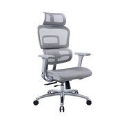 Zenox Ten-E Office Chair