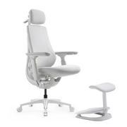 Libernovo Maxis AirFlow 人體工學椅