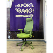 Sudoli Ln10 人體工學椅