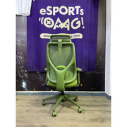 Sudoli Ln10 人體工學椅