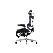 Sihoo Doro C500 行政人體工學辦公網椅