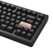 AKKO ACR Pro 75 有線81鍵 RGB機械鍵盤 黑色 (水晶軸)(包送順豐站)