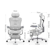 Sihoo Doro C500 行政人體工學辦公網椅