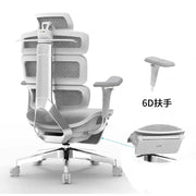 Ergomax Evolution2 Plus 人體工學辦公椅