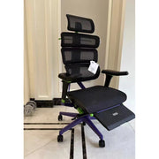 Ergomax Evolution2 pro max 進化專業版 人體工學椅