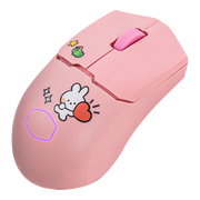 Cooler Master X LINE FRIENDS minini 聯名款  鍵鼠套裝 (包送順豐站)