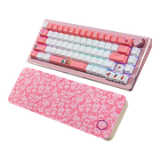 Cooler Master X LINE FRIENDS minini 聯名款  鍵鼠套裝 (包送順豐站)