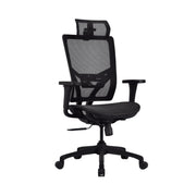 Zenox Ergonomics Hokai 人體工學辦工椅(黑色)(代理有貨)