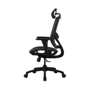 Zenox Ergonomics Hokai 人體工學辦工椅(黑色)(代理有貨)