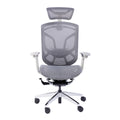 GT CHAIR Dvary X 人體工學辦公椅 (未有貨期)