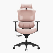 2月優惠 Ray-E 高背人體工學電腦椅 【常規配置】 (包安裝)